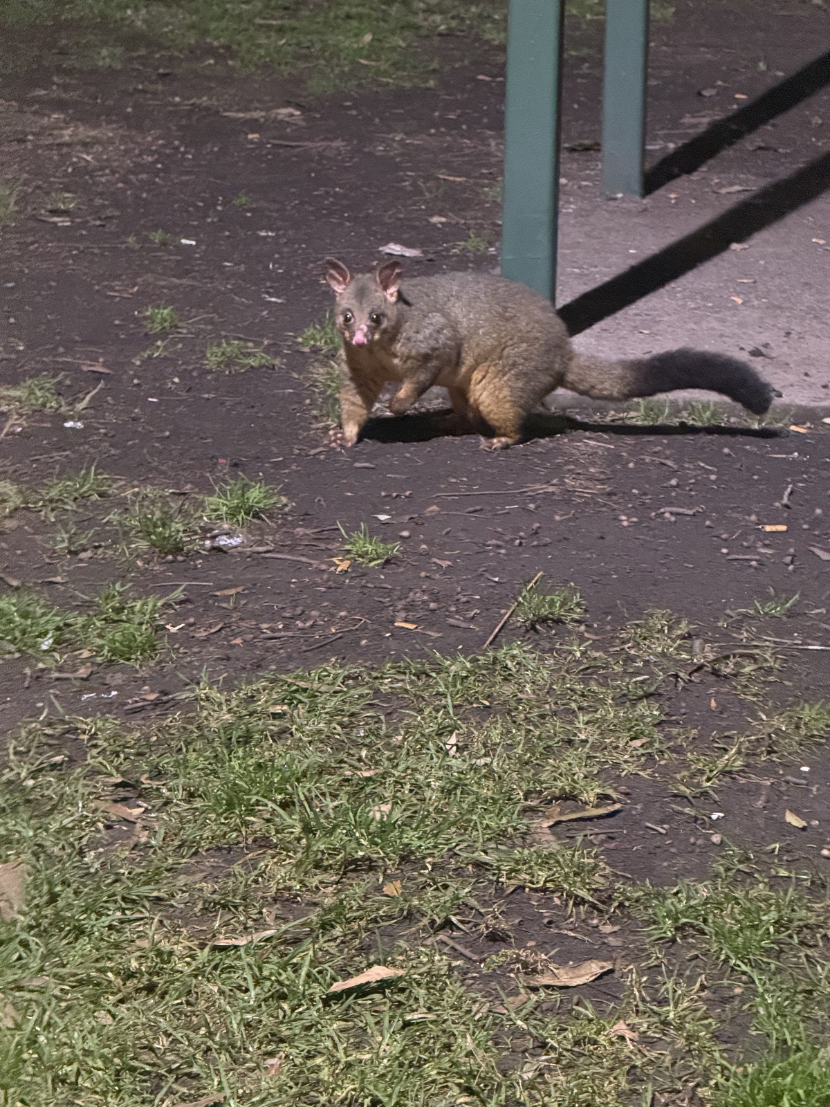 sydney